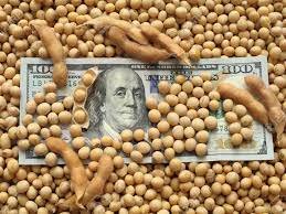 La soja supera los US$600. Un nuevo máximo en casi 10 años