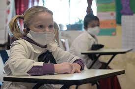 Piden que se confirme que la presencialidad sea “opcional” en niveles inicial y primario