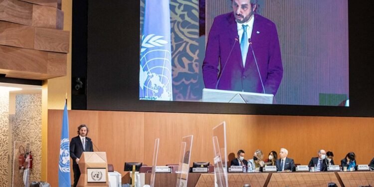 Argentina reclamó diálogo y pidió a Rusia “el cese del uso de la fuerza”