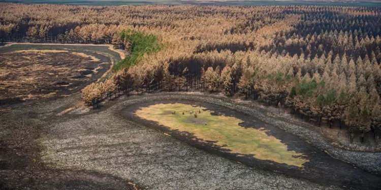 Anunciaron un plan con una inversión de $400 millones para recuperar los Esteros del Iberá