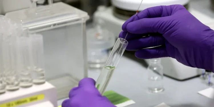 California adoptará un enfoque “endémico” del coronavirus: “La pandemia no tendrá un final definido”