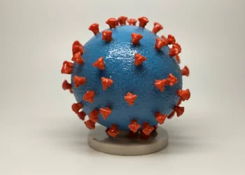 Avance científico contra el COVID: rediseñaron glóbulos rojos para activar el sistema inmunitario