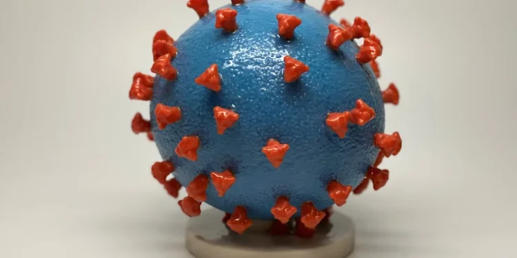 Avance científico contra el COVID: rediseñaron glóbulos rojos para activar el sistema inmunitario