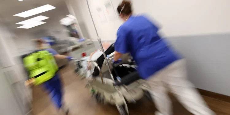 Cuáles son las 4 “pandemias” que el COVID ocultó, según los expertos