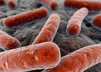 Coinfección de COVID y tuberculosis: advierten por los riesgos del doble contagio