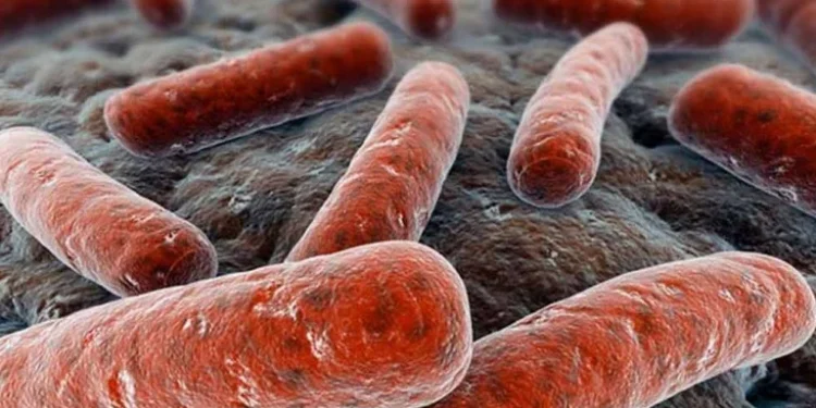 Coinfección de COVID y tuberculosis: advierten por los riesgos del doble contagio