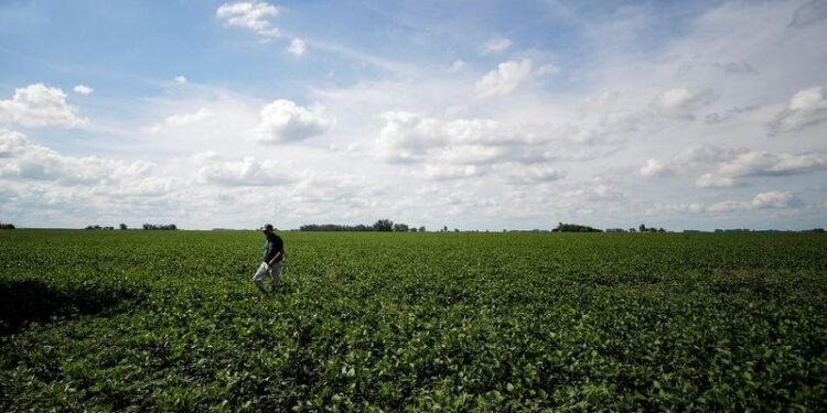 Agroexportaciones argentinas: 2.073 millones de dólares ingresados en enero, superando cifras del año anterior
