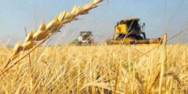 Retenciones: Tensión y expectativa en el sector.