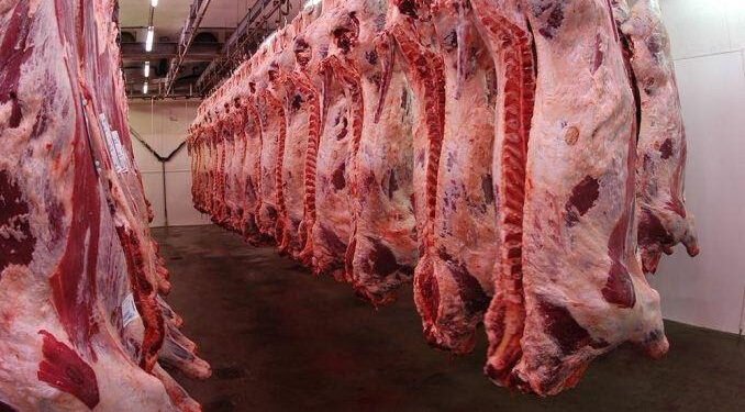 El mundo sin carne: Argentina al rescate.