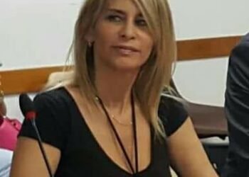 El trabajo legislativo de la nueva pareja de Fernández.