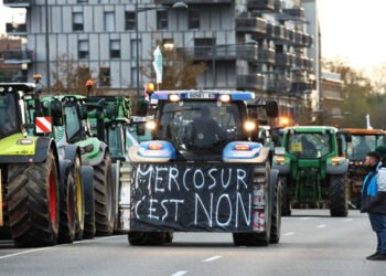 Incentivos Agrícolas Destraban Acuerdo UE-Mercosur.