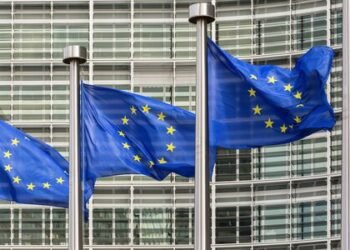 El Acuerdo UE-Mercosur se Haría Efectivo sin Veto.