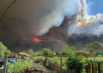Afectados por incendios piden declaración de emergencia.