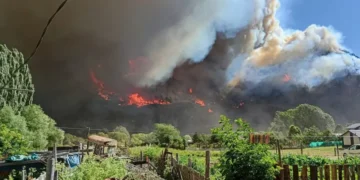 Afectados por incendios piden declaración de emergencia.