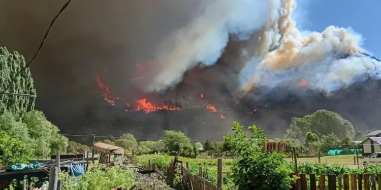 Afectados por incendios piden declaración de emergencia.