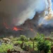 Afectados por incendios piden declaración de emergencia.