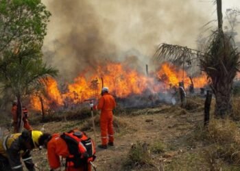 Chubut: el 85% del incendio ya fue contenido.