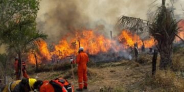 Chubut: el 85% del incendio ya fue contenido.