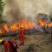 Chubut: el 85% del incendio ya fue contenido.