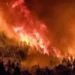 Torres: Urge una ley con penas más duras por provocar incendios.