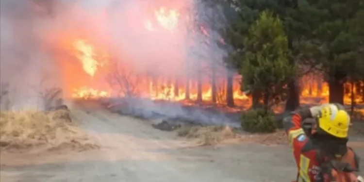 Polémica por el fuego: Grabois recuerda la “aspiración sindical” de Adorni.
