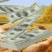 Impacto del agro: Divisas suben 82% en enero.
