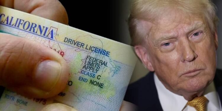 Donald Trump implementará restricciones en licencias de conducir para migrantes sin estatus legal