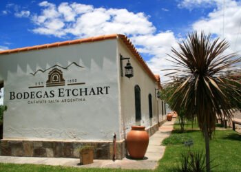 Nuevo propietario: Molinos Río de la Plata adquiere una histórica bodega salteña y amplía su presencia en el sector vitivinícola