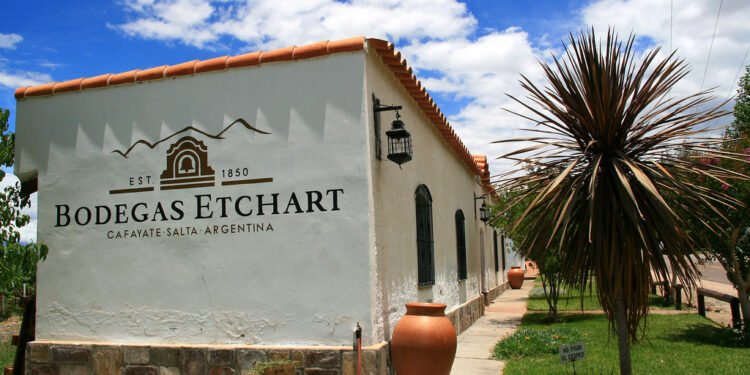 Nuevo propietario: Molinos Río de la Plata adquiere una histórica bodega salteña y amplía su presencia en el sector vitivinícola