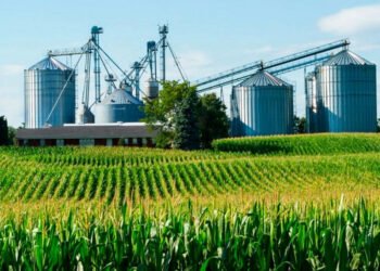 La agroindustria impulsa el comercio exterior en la mitad de las provincias argentinas