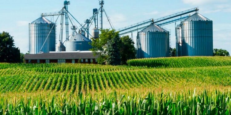 La agroindustria impulsa el comercio exterior en la mitad de las provincias argentinas