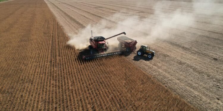 Significativo aumento en la actividad agropecuaria durante mayo