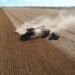 Significativo aumento en la actividad agropecuaria durante mayo