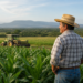 El Gobierno impulsa créditos accesibles para el campo con el fin de estabilizar los precios alimentarios