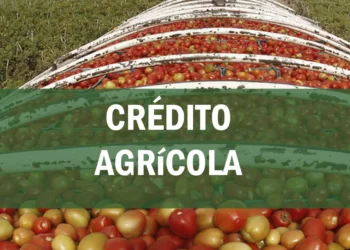 El Gobierno ofrece créditos blandos al sector agropecuario para contener la inflación alimentaria