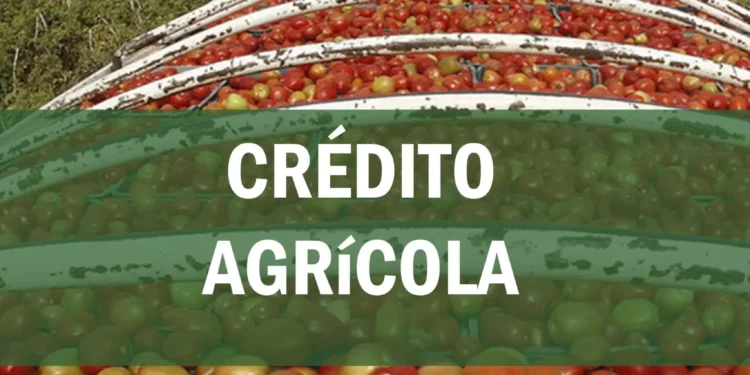El Gobierno ofrece créditos blandos al sector agropecuario para contener la inflación alimentaria