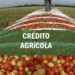 El Gobierno ofrece créditos blandos al sector agropecuario para contener la inflación alimentaria