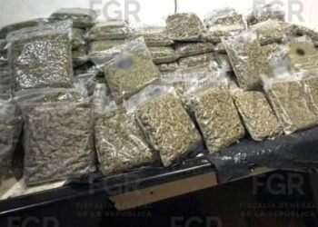 Imputados los propietarios de una carnicería tras el hallazgo de más de 100 kilos de marihuana