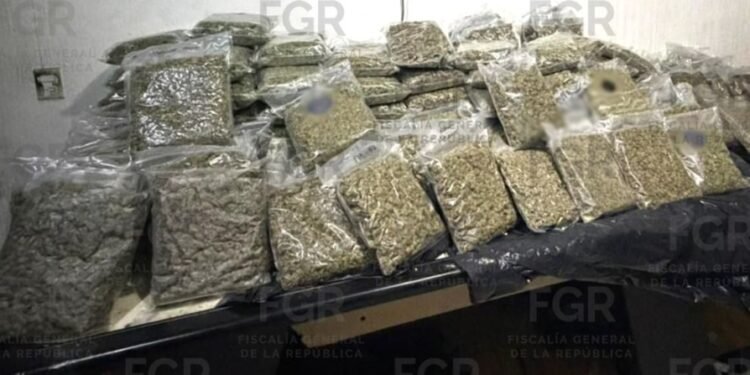 Imputados los propietarios de una carnicería tras el hallazgo de más de 100 kilos de marihuana