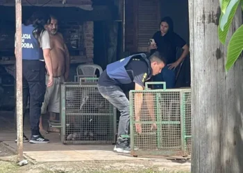 Trágico ataque de un pitbull en Córdoba cobrós la vida de un niño de 3 años