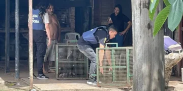Trágico ataque de un pitbull en Córdoba cobrós la vida de un niño de 3 años