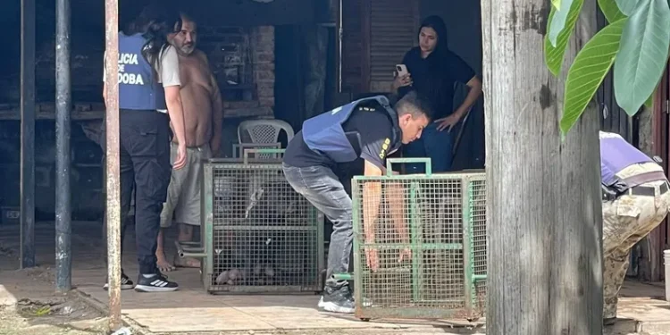 Trágico ataque de un pitbull en Córdoba cobrós la vida de un niño de 3 años