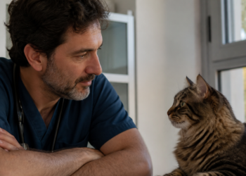 Manuel Manzano, veterinario: “Para ganarte el cariño de un gato, debes aprender a ignorarlo y respetar su espacio”