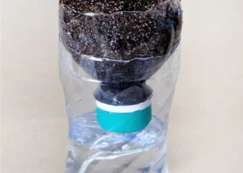 Cómo crear una maceta de riego inteligente utilizando una botella de plástico