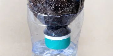 Cómo crear una maceta de riego inteligente utilizando una botella de plástico