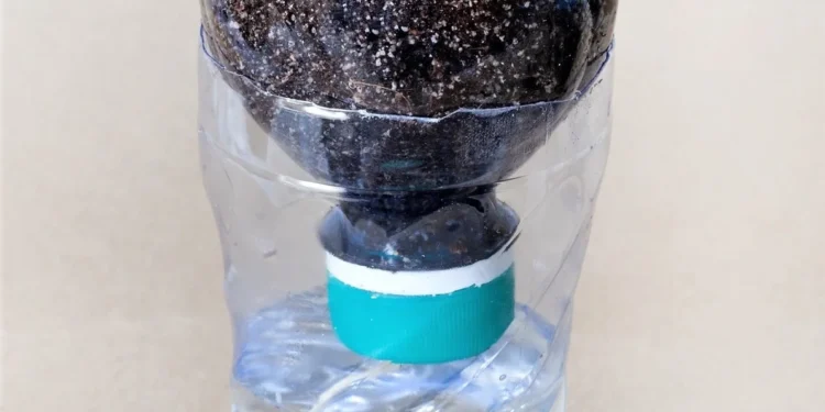 Cómo crear una maceta de riego inteligente utilizando una botella de plástico