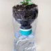Cómo crear una maceta de riego inteligente utilizando una botella de plástico