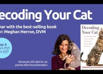 Meghan Herron, veterinaria experta en comportamiento felino: “Si tu gato te observa fijamente, está intentando comunicarse”