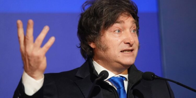 Milei criticó la ley de aborto y sugirió un impacto negativo en la economía