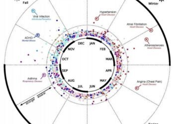 Investigación revela vínculo entre el orden de nacimiento y el riesgo de enfermedades
